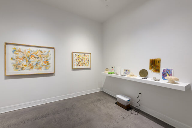 Nichole van Beek, Installation View of Huumannatuure Lab, Van Every Smith Galleries