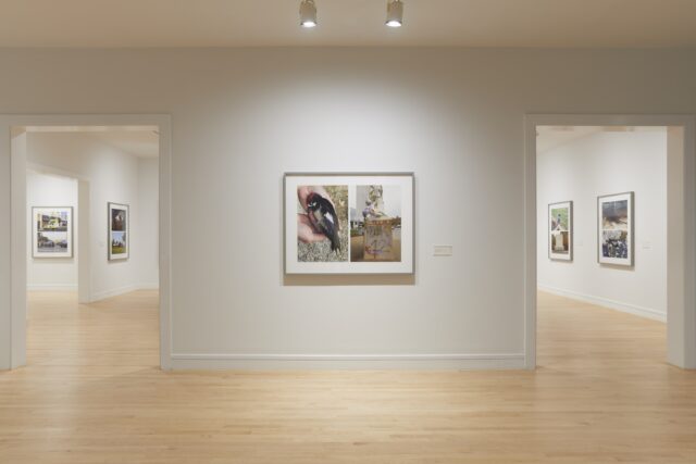 Picture of Catherine Opie exhibition. Photographs by Catherine Opie.