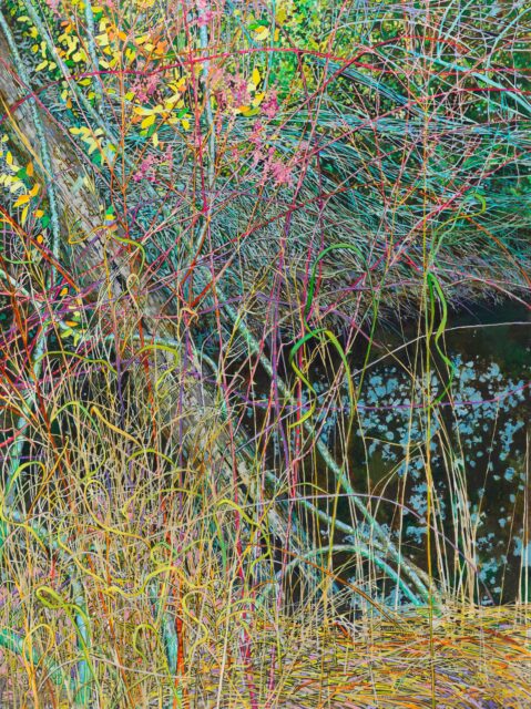 A landscape painting of plants and water.