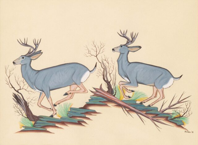 Two blue-grey deer walking in a forest against a black background